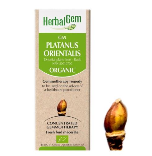 HerbalGem Platanus Orientalis (Oriental Plane-tree) G65, 50 ml