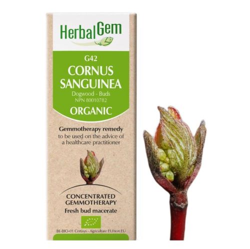  HerbalGem Cornus Sanguinea (Dogwood) G42, 50 ml
