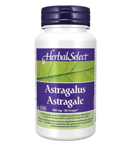 Herbal Select Astragalus 500mg, 60vcap