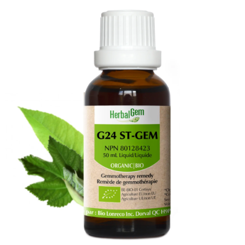 HerbalGem STOMAGEM | G24 - 50 ml