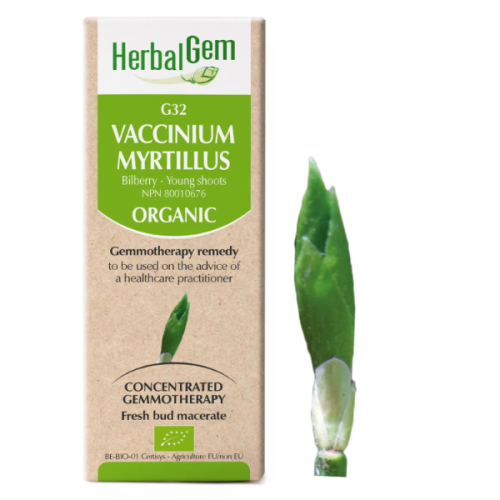 HerbalGem Vaccinium myrtillus | G32 - 15 ml