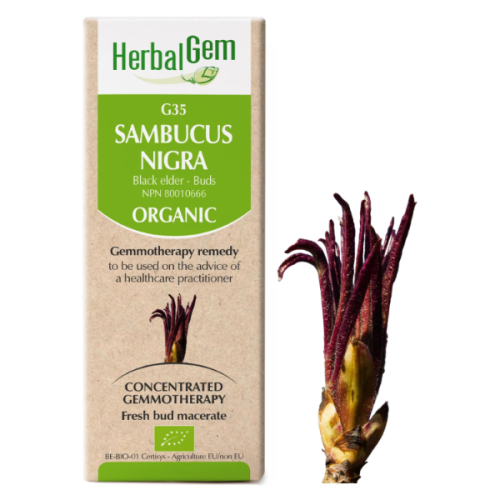HerbalGem Sambucus nigra (Black elder) G35, 15 ml