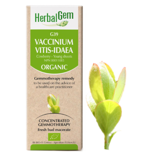 HerbalGem Vaccinium vitis-idaea | G39 - 15 ml