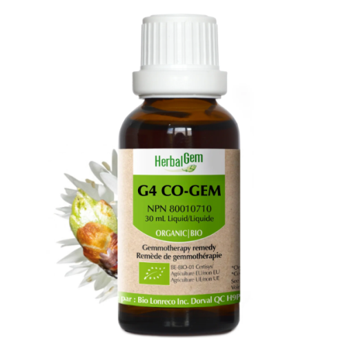 HerbalGem G4 CO-GEM, 30 ml