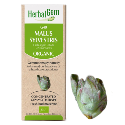HerbalGem Malus sylvestris | G40 - 15 ml