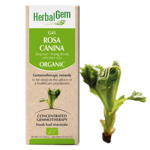 HerbalGem Rosa canina | G41 - 50 ml