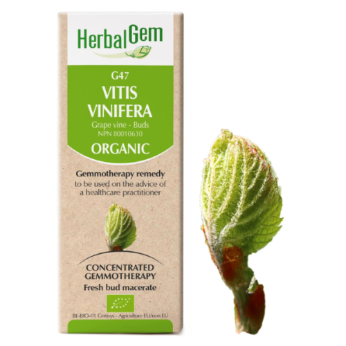 HerbalGem Vitis vinifera | G47 - 15 ml