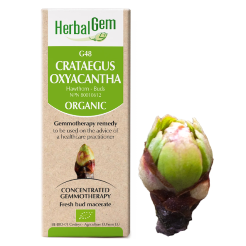 HerbalGem Crataegus oxyacantha | G48 - 15 ml