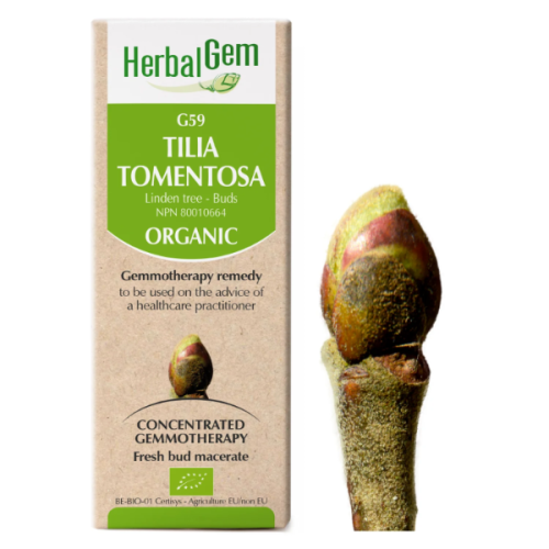 HerbalGem Tilia tomentosa | G59 - 15 ml