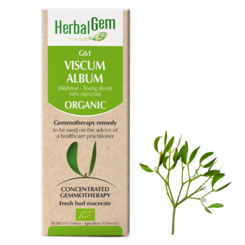 HerbalGem Viscum album | G61 - 50 ml