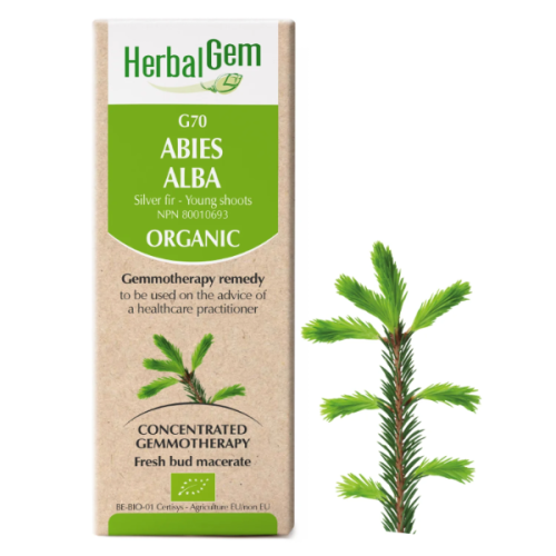 HerbalGem Abies alba | G70 - 15 ml
