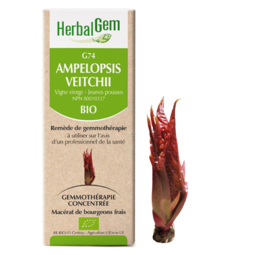 HerbalGem Ampelopsis veitchii | G74 - 15 ml