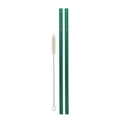 Enviro Glass Straws Combo Reg. Stl Straw 10.5" Green