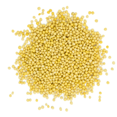 Westpoint Organic Mustard Seed, 2 kg