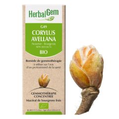 HerbalGem Corylus Avellana (Hazel) G49, 15 ml