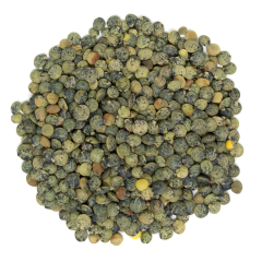 Westpoint Organic Lentil French Du Puy, 11.3 kg