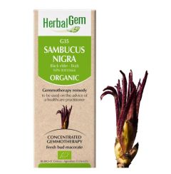HerbalGem Sambucus Nigra (Black Elder) G35, 15 ml