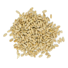 Westpoint Organic Spelt Kernels, 10 kg