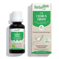 HerbalGem Cedrus Libani (Cedar of Lebanon) G38, 30 ml