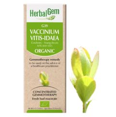 HerbalGem Vaccinium Vitis-idaea (Cowberry) G39, 30 ml