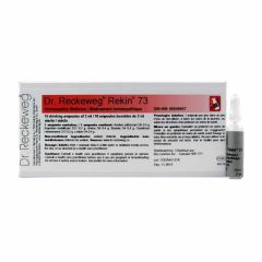 Dr. Reckeweg Drinkable Ampules Rekin 73, 2 x 10ml