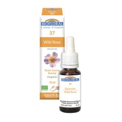 Biofloral No. 37 Wild Rose, 20 ml