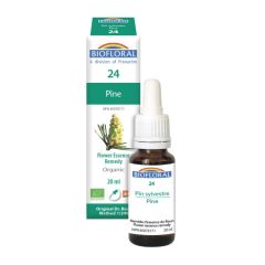 Biofloral No. 24 Pine, 20 ml