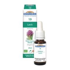 Biofloral No. 19 Larch, 20 ml