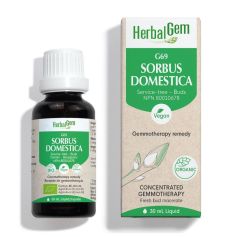 HerbalGem Sorbus Domestica (Service-tree) G69, 30 ml