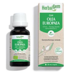 HerbalGem Olea Europaea (Olive) G64, 30 ml