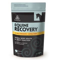 PURICA Equine Recovery Extra Strength (1kg)